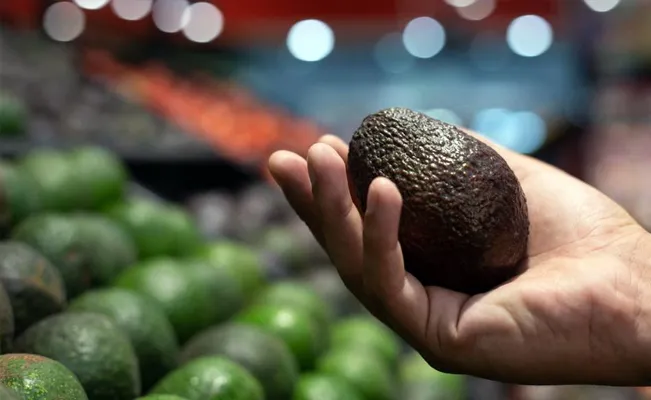 Se desploma 50% el precio del aguacate