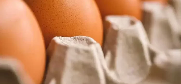 Hasta marzo podría bajar el precio del huevo