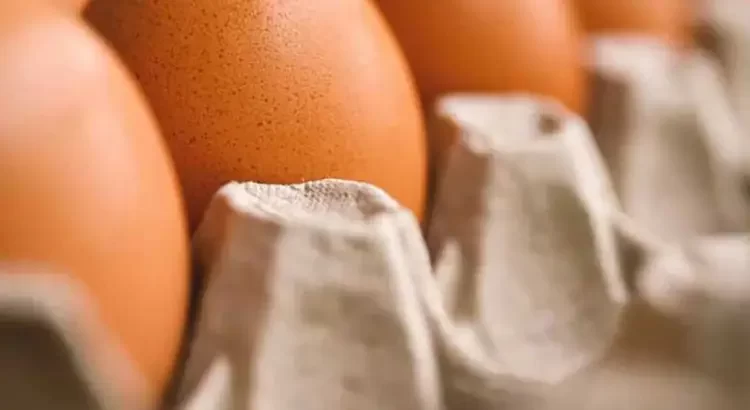 Hasta marzo podría bajar el precio del huevo