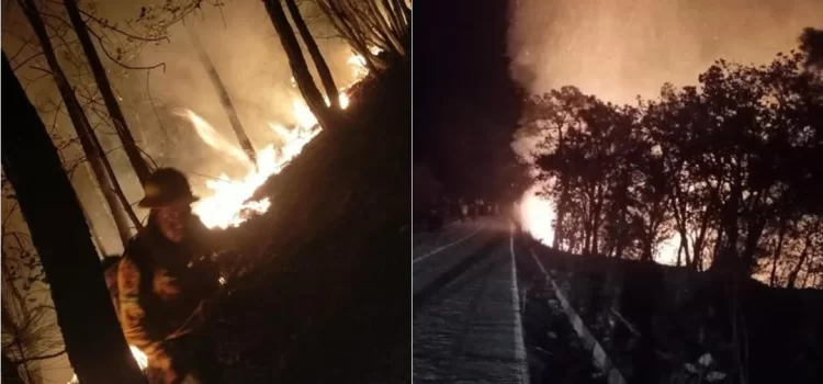 Fuerte incendio consume bosques de Mazaltepec, Oaxaca