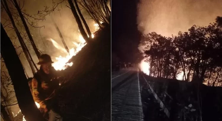 Fuerte incendio consume bosques de Mazaltepec, Oaxaca