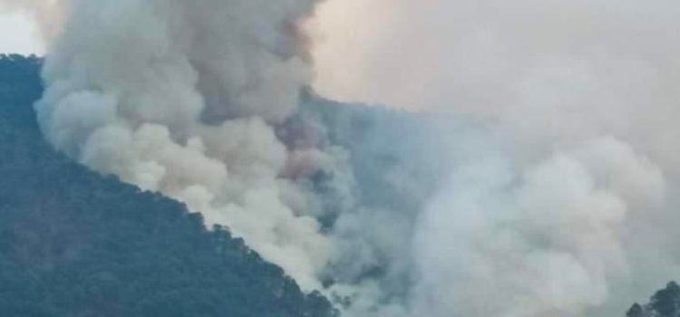 Incendios en Oaxaca cumplen 9 días y han consumido 3 mil hectáreas