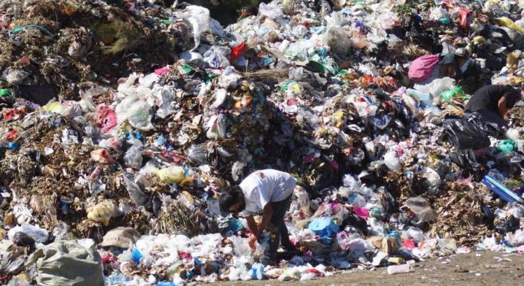 Suman 13 tiraderos a cielo abierto clausurados desde arranque de la “crisis de la basura” en Oaxaca