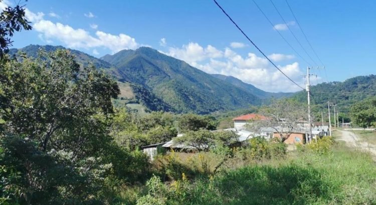 Denuncian en Oaxaca violencia y devastación de talamontes chiapanecos en Los Chimalapas