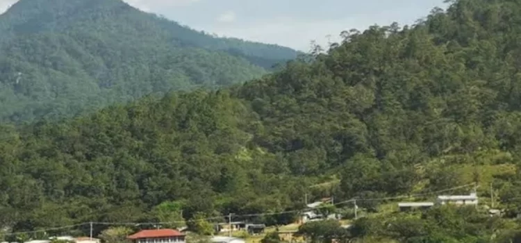 Chimalapas bloquearán 3 días la carretera Transístmica por lentitud en ejecución de sentencia de la SCJN