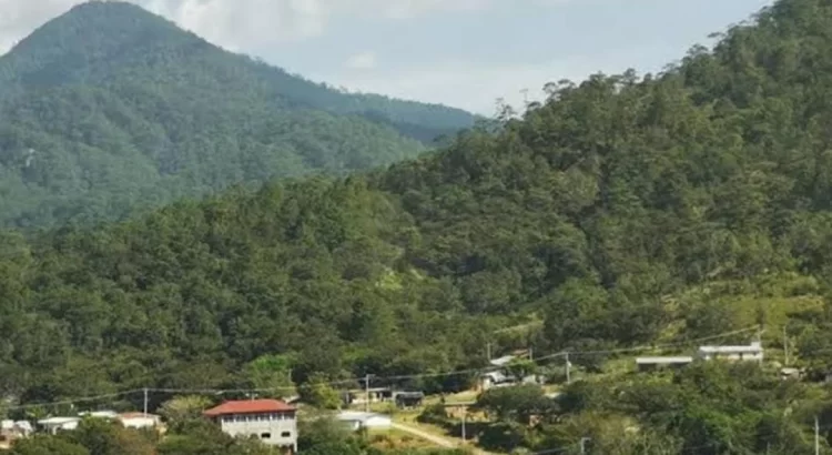 Chimalapas bloquearán 3 días la carretera Transístmica por lentitud en ejecución de sentencia de la SCJN