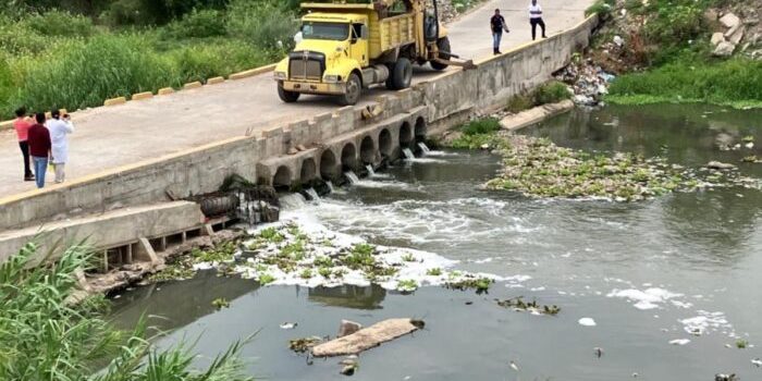 Estudio determina probable causa de muerte de cientos de mojarras en río de Juchitán