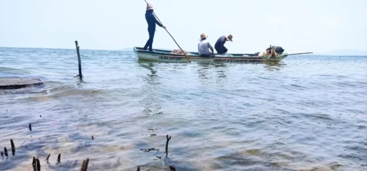 Alerta muerte de peces en lagunas del Istmo de Oaxaca