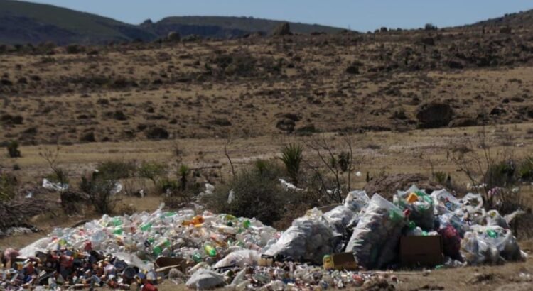 Crea Congreso de Oaxaca Ley de Economía Circular; beneficia a refresquera, acusan