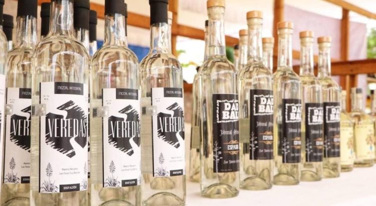 Participan 21 expositores en la Feria del Mezcal 2023, en Tuxtepec, Oaxaca