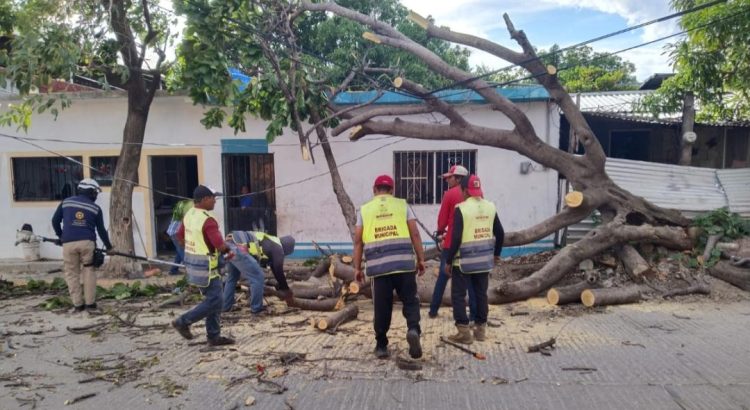 Vientos del frente frío número ocho causan daños en tres municipios del Istmo, en Oaxaca