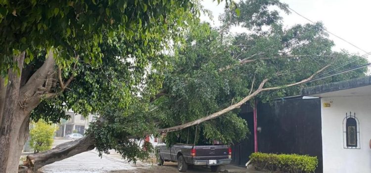 Alertan tormentas, inundaciones y actividad eléctrica en 4 regiones de Oaxaca
