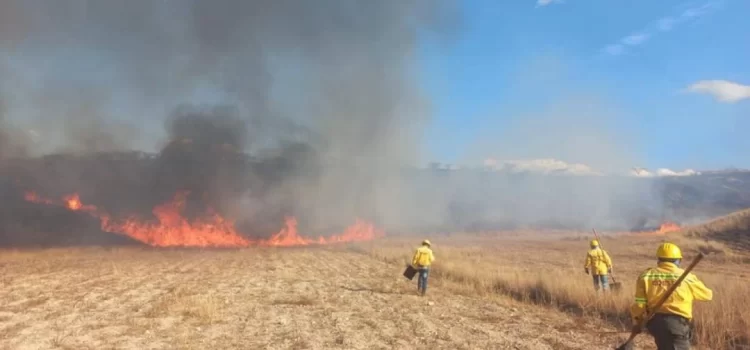 Incendio consume dos hectáreas de pastizales en Zona Arqueológica de Monte Albán