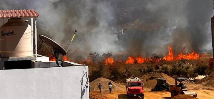 Fuego consume Bosque El Tequio en Oaxaca