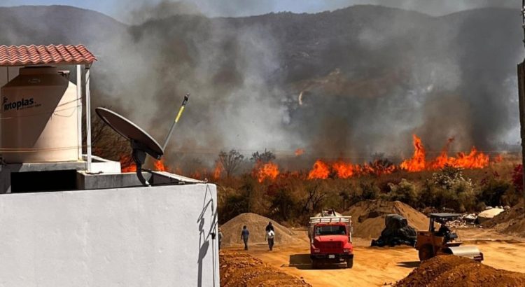 Fuego consume Bosque El Tequio en Oaxaca