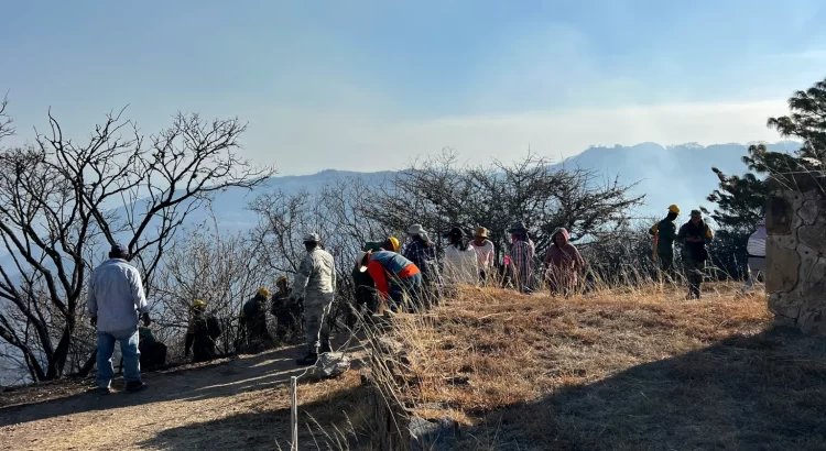 Un incendio afecta 30 hectáreas de zona arqueológica de Monte Albán