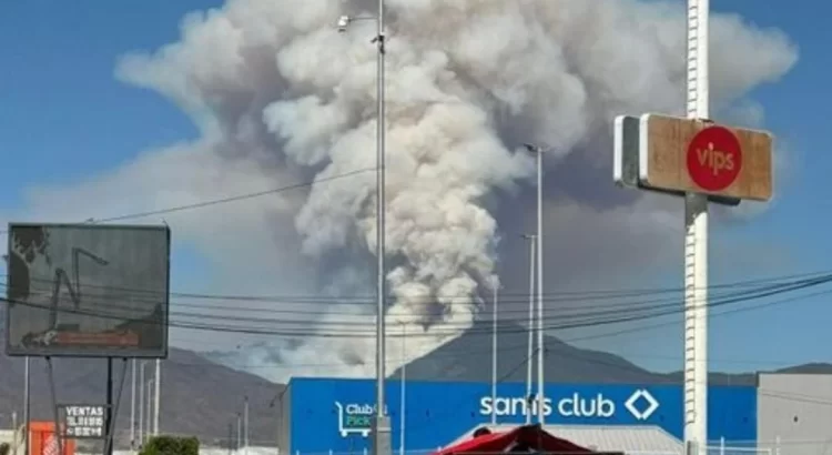 Incendio en Ixtepeji consume cientos de hectáreas de bosque en la Sierra Norte de Oaxaca