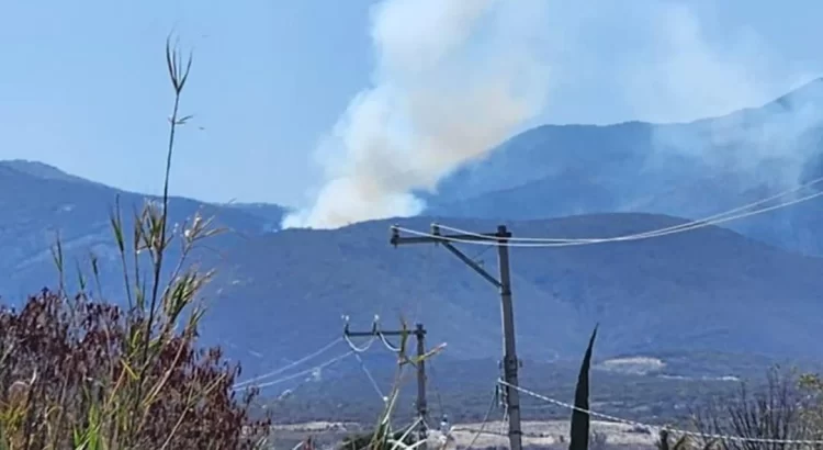 Se reactiva incendio en San Lucas Quiaviní, Oaxaca