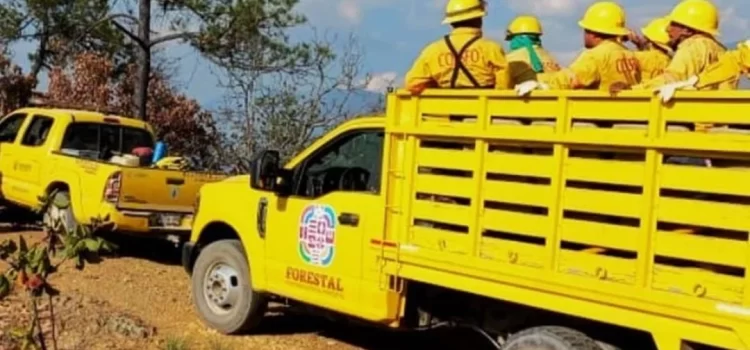 Reportan nuevo incendio forestal en Tilantongo, en la Mixteca de Oaxaca
