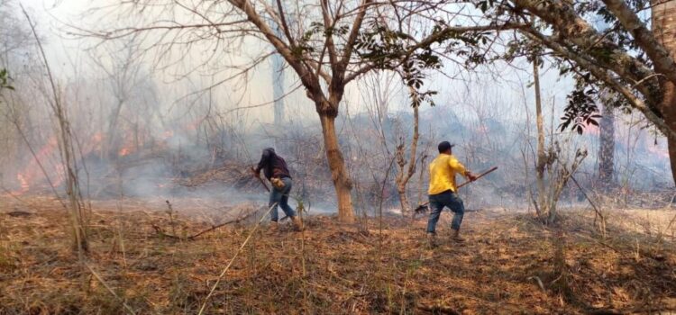 Reportan dos nuevos incendios activos en Los Chimalapas, Oaxaca