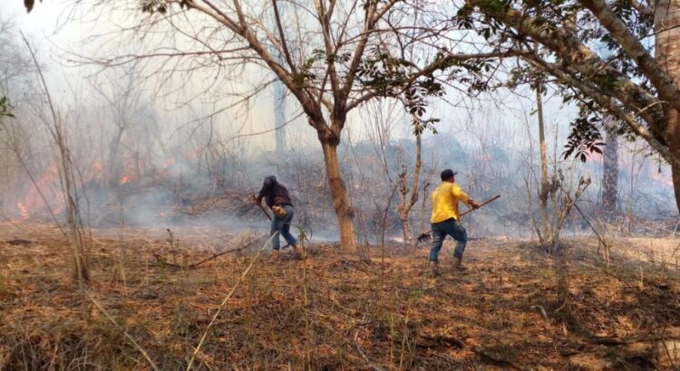 Reportan dos nuevos incendios activos en Los Chimalapas, Oaxaca