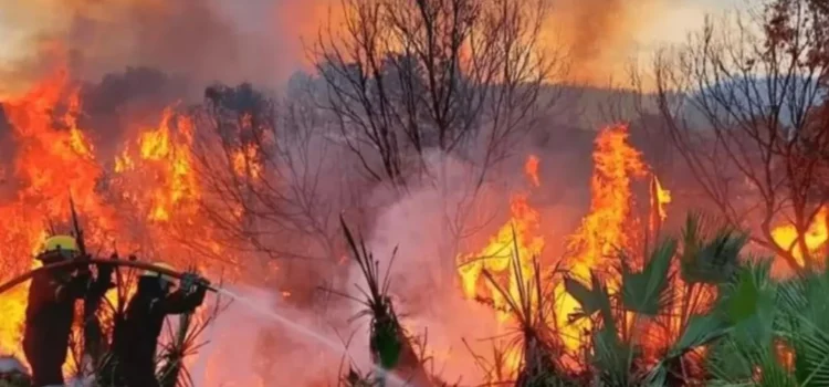 Registra Tuxtepec 40 incendios de pastizales en los últimos 4 meses