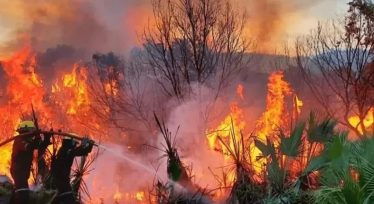 Registra Tuxtepec 40 incendios de pastizales en los últimos 4 meses
