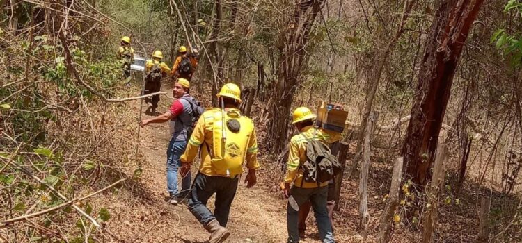 Reportan controlado al 100% incendio forestal entre Huatulco y San Miguel del Puerto, Oaxaca