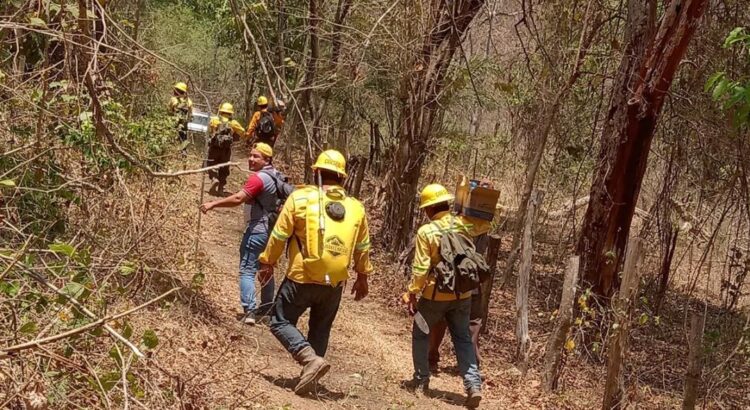 Reportan controlado al 100% incendio forestal entre Huatulco y San Miguel del Puerto, Oaxaca