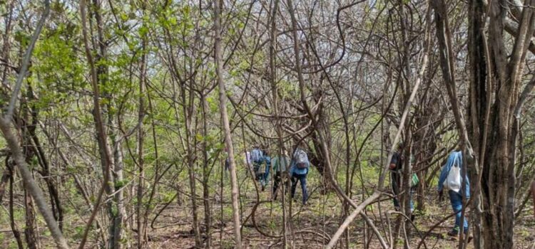 Tras incendios en Oaxaca, decretan veda para caza de venado y armadillo en Los Chimalapas