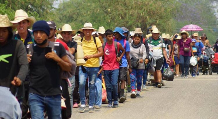 “Inhumano e ilegal” cierre de frontera de EU; 6 caravanas migrantes han cruzado Oaxaca