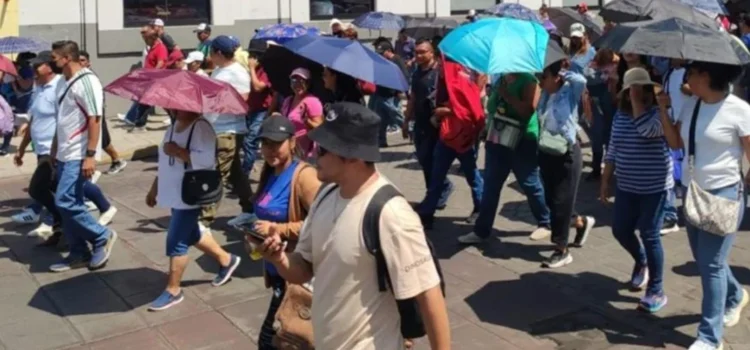 Sección 22 del SNTE llama al gobernador de Oaxaca a “amarrar a sus perros” tras represión en aeropuerto