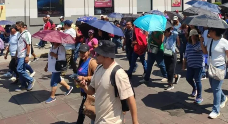 Sección 22 del SNTE llama al gobernador de Oaxaca a “amarrar a sus perros” tras represión en aeropuerto