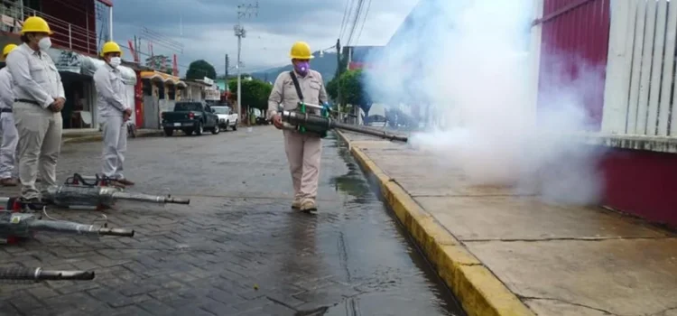 Ante rebrote de dengue en Tuxtepec, gobierno de Oaxaca arranca nebulizaciones a puertas abiertas