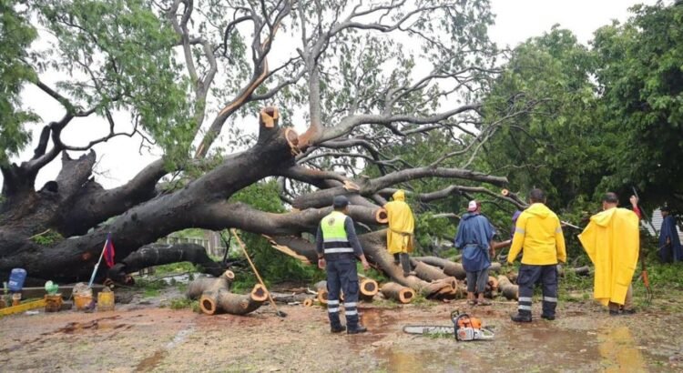 Inundaciones y crecida de ríos vuelven a golpear al Istmo tras fuertes lluvias en Oaxaca