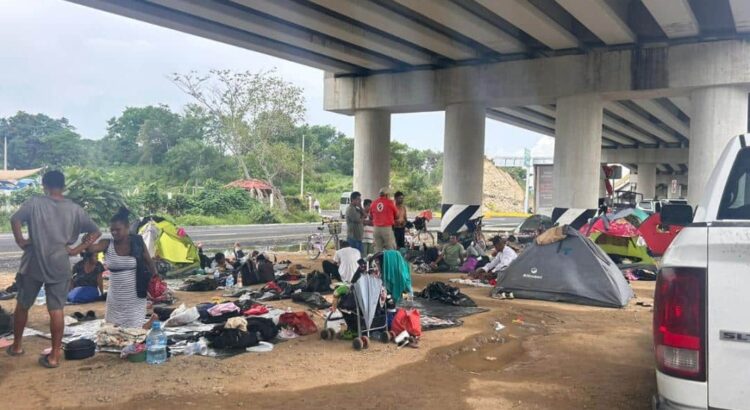 Caravana de migrantes duermen bajo un puente; acusan engaño de autoridades