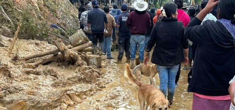 Huracán John cobra la vida de otras 2 personas en la Mixteca; suman 4 víctimas en Oaxaca