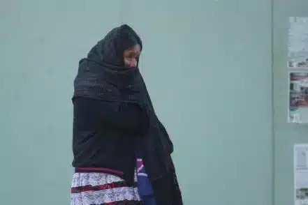 Heladas y temperaturas bajo cero golpean Oaxaca; advierten continuarán por el Frente Frío número 11 Heladas y temperaturas bajo cero golpean Oaxaca; advierten continuarán por el Frente Frío número 11