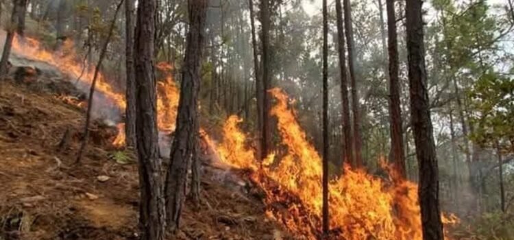 Reportan incendio forestal en zona de conflicto entre San Juan Mixtepec y Yosoñama, Oaxaca Reportan incendio forestal en zona de conflicto entre San Juan Mixtepec y Yosoñama, Oaxaca
