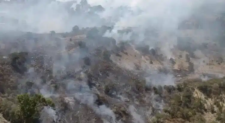 Incendio forestal azota a la comunidad Primavera en Santiago Yosondúa, Oaxaca
