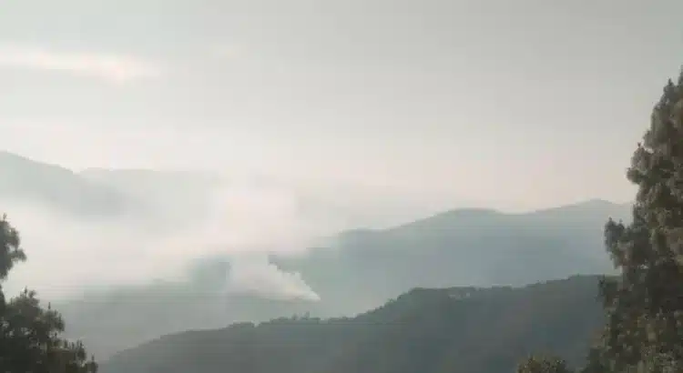 Reportan incendio forestal fuera de control en San Juan Copala