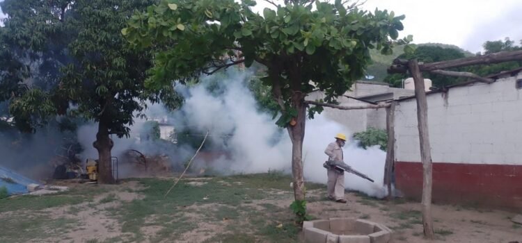 Proliferación de dengue pone en alto riesgo a cuatro municipios del Istmo de Oaxaca