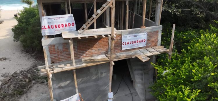 Clausuran desarrollos inmobiliarios en la Costa de Oaxaca por afectaciones al manglar y áreas forestales