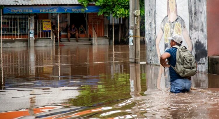 Sheinbaum viajará a Oaxaca para supervisar labores de auxilio tras el paso del huracán “Erick” Sheinbaum viajará a Oaxaca para supervisar labores de auxilio tras el paso del huracán “Erick”