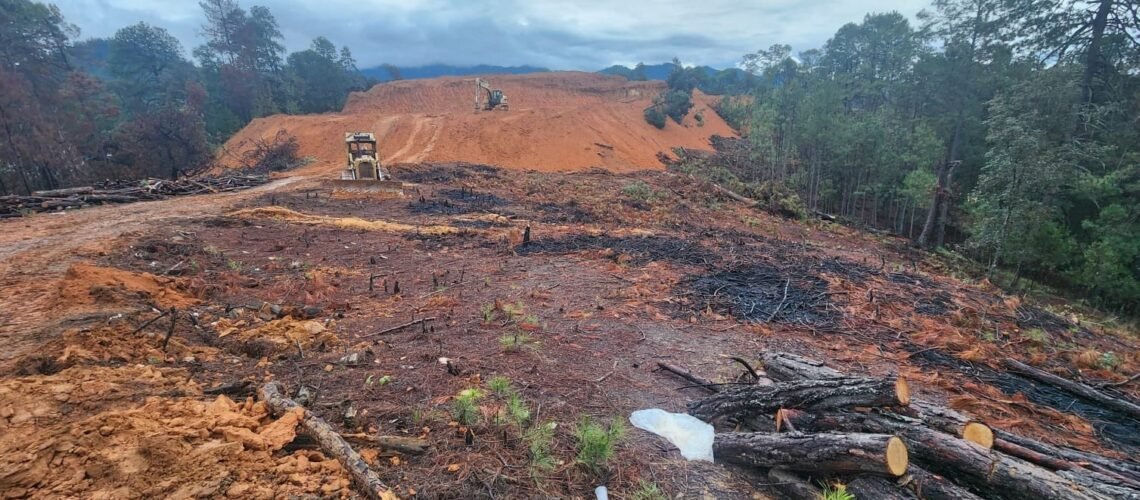 Denuncian desmonte y tala de árboles en Guerrero Grande, Atatlahuca; prevén violencia nuevamente en la zona