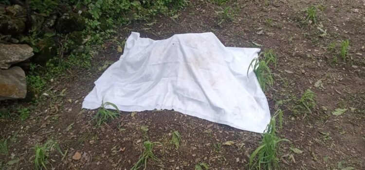 “Solicitamos apoyo urgente, nos están matando”, denuncian autoridades de San Juan Mixtepec, Oaxaca “Solicitamos apoyo urgente, nos están matando”, denuncian autoridades de San Juan Mixtepec, Oaxaca