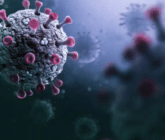 Emite la OMS alerta por virus Stratus