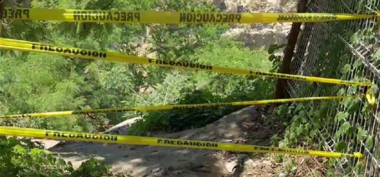 Mueren dos hombres tras ataque de abejas africanizadas en Puerto Escondido Mueren dos hombres tras ataque de abejas africanizadas en Puerto Escondido