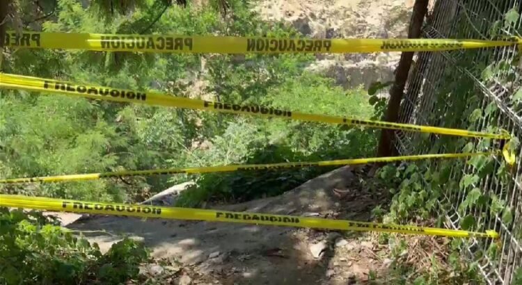 Mueren dos hombres tras ataque de abejas africanizadas en Puerto Escondido