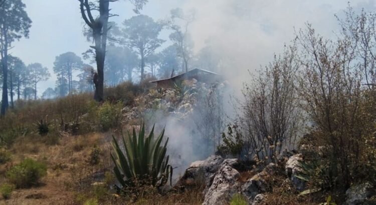 Reportan fuego cruzado entre Monteverde y Yosonotú, Oaxaca; permanece conflicto de tierra Reportan fuego cruzado entre Monteverde y Yosonotú, Oaxaca; permanece conflicto de tierra